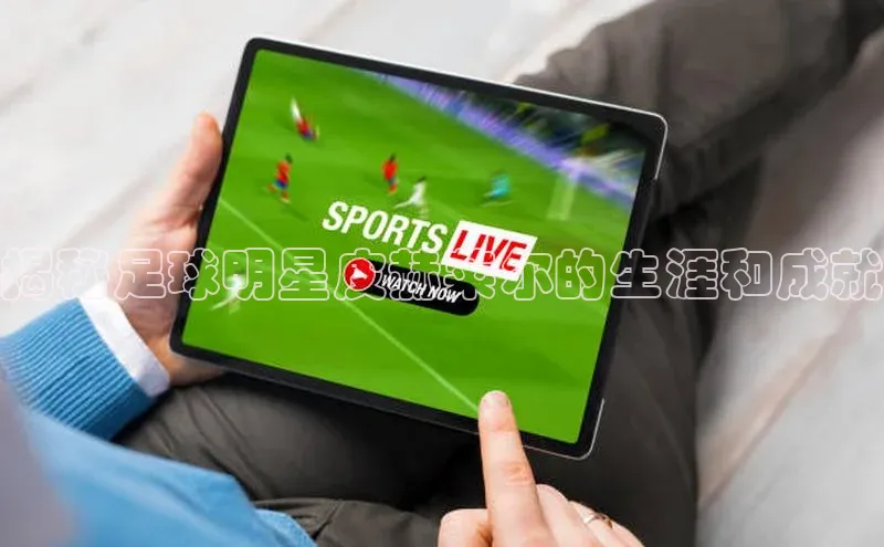 贝博app体育下载安装颐驰 06揭秘足球明星皮赫莱尔的生涯和成就