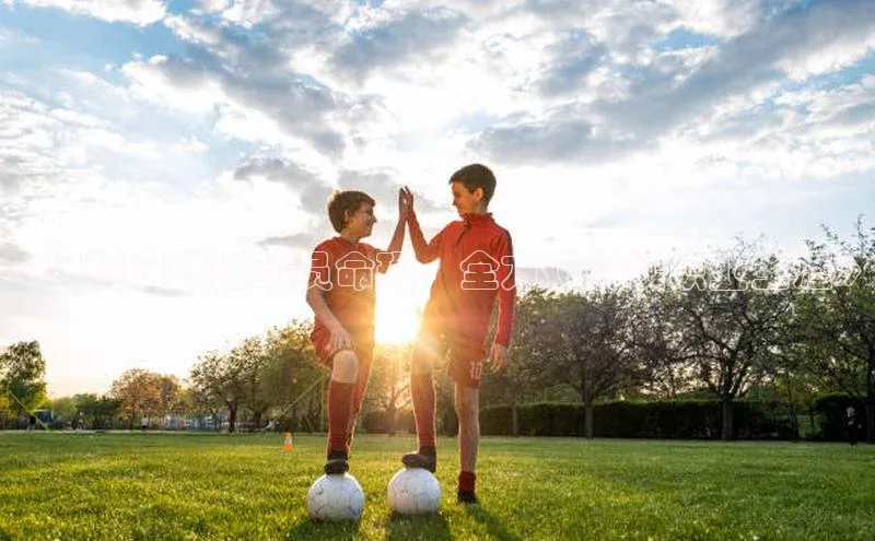 贝博bb平台体育网页版如流《揭秘足球运动员命理，全方位解读职业生涯》