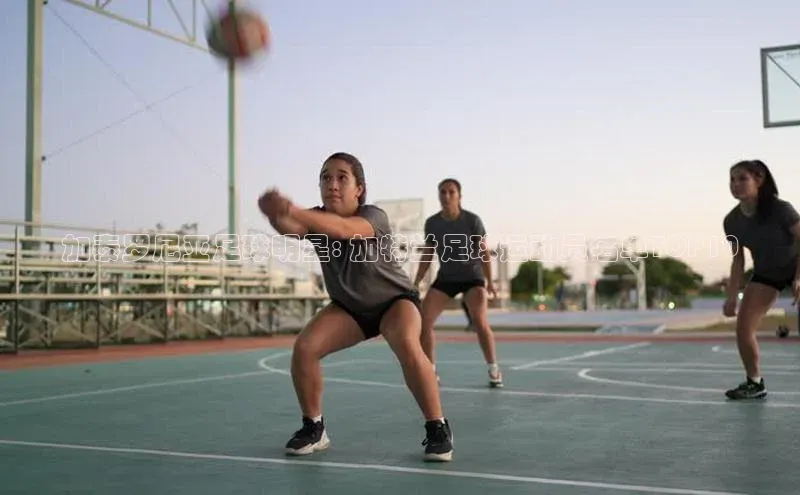 ballbet贝博bb艾弗森诸葛科技加泰罗尼亚足球明星: 加特兰足球运动员名单TOP10