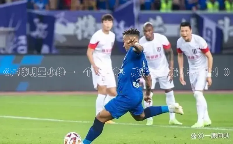 贝博bb平台体育正规吗文心一言《足球明星小维——个人简介、成就和最新动态详解！》