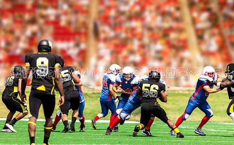 俄语视窗：2024年奥运会的运动竞赛项目