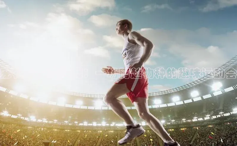 宠物与人类共舞：一场跨越物种的趣味运动会