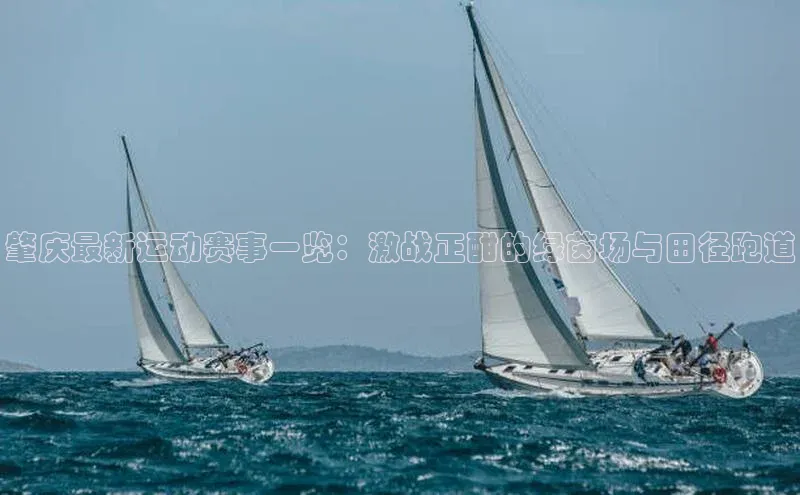 肇庆最新运动赛事一览：激战正酣的绿茵场与田径跑道