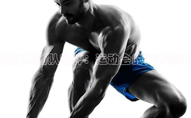 竞技与团队精神：运动会的精彩赛事