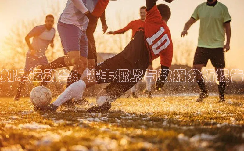 如皋运动会：赛事概览与数据分析报告