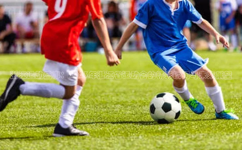 浙江运动盛事：2023年浙江省运动会的精彩瞬间与未来展望