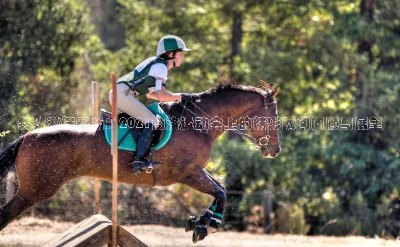 共聚激情赛场：2021商洛运动会上的精彩瞬间回顾与展望