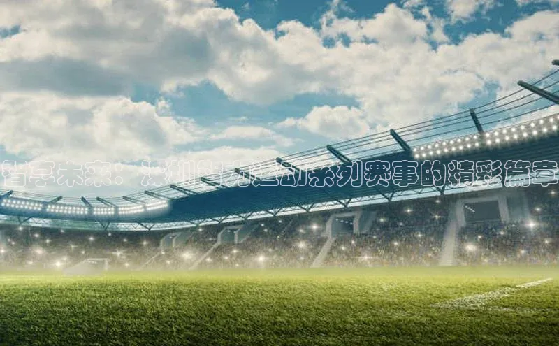 智享未来：深圳智力运动系列赛事的精彩篇章