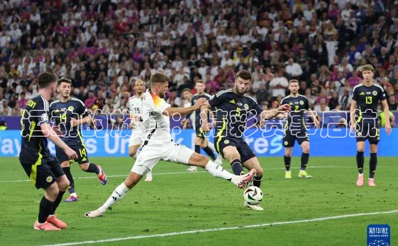 运动的旋律：精彩赛事启航