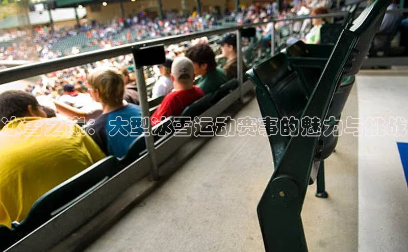 冰雪之巅：大型冰雪运动赛事的魅力与挑战