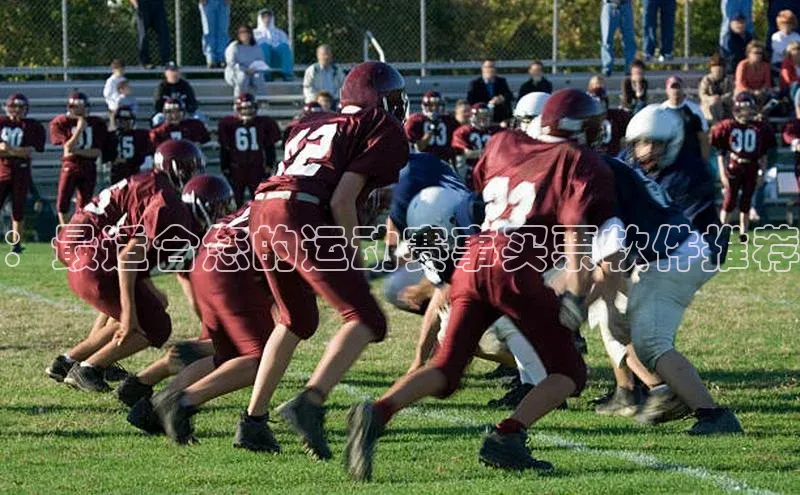 ：最适合您的运动赛事买票软件推荐