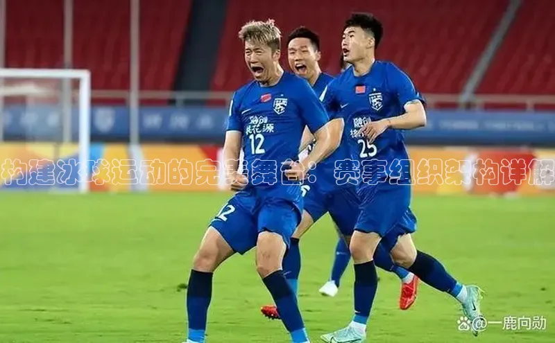 构建冰球运动的完美舞台：赛事组织架构详解