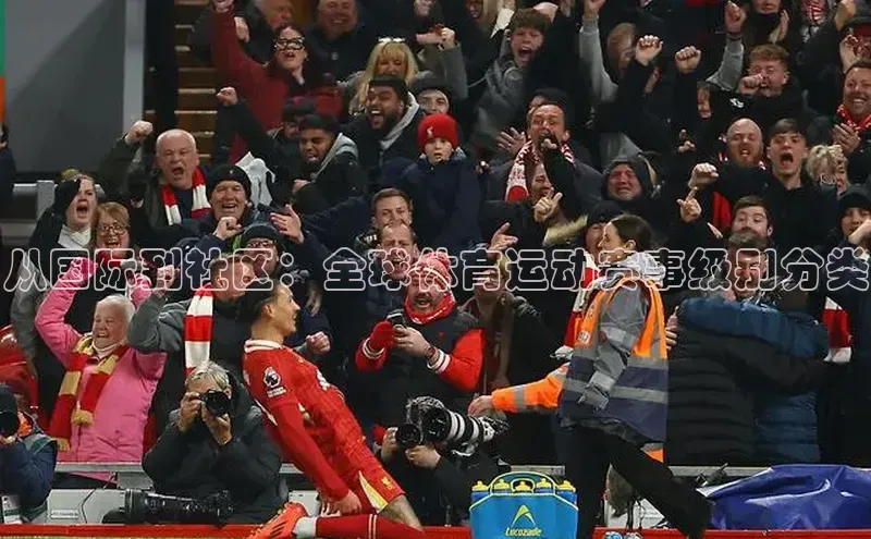 从国际到社区：全球体育运动赛事级别分类