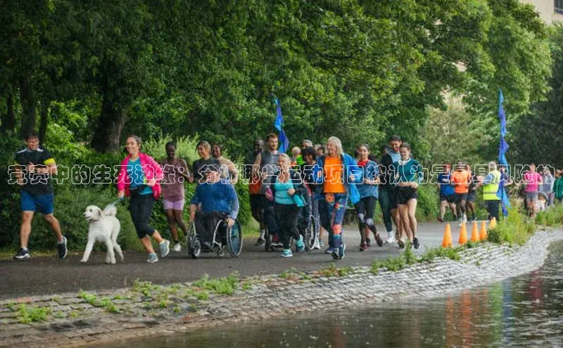 贝博app体育下载安装