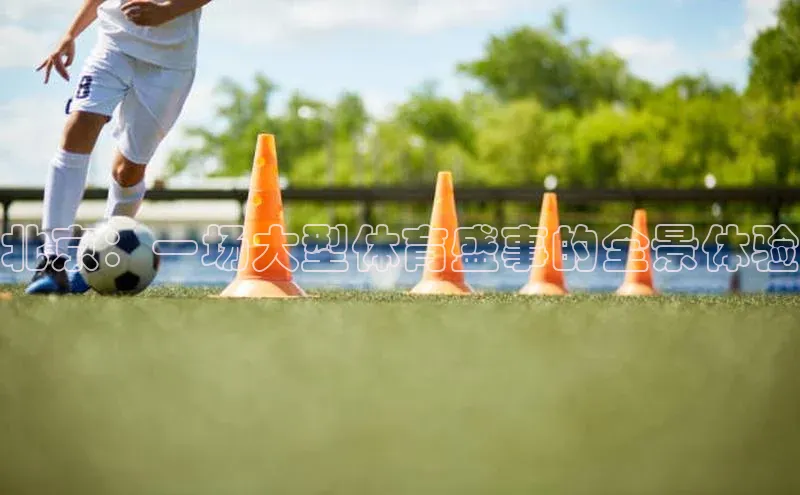 北京：一场大型体育盛事的全景体验