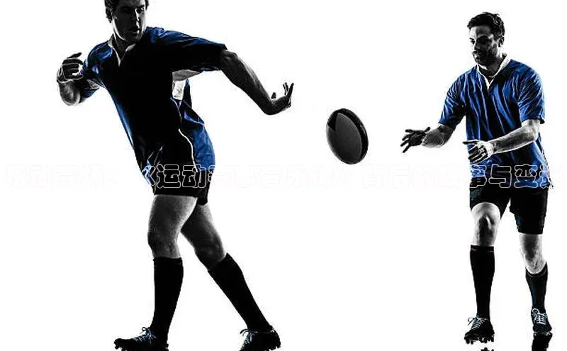 贝博betball体育app下载