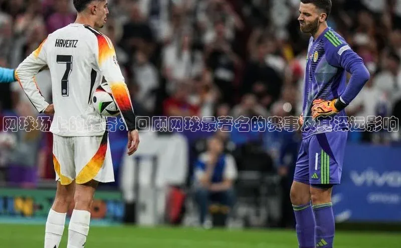 贝博bb平台体育网页版